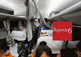 foto y texto: reporte 6