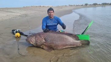 Marco Talledo y la hazaña del dia